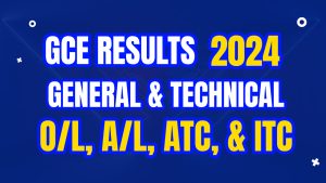 Download GCE results 2024 pdf